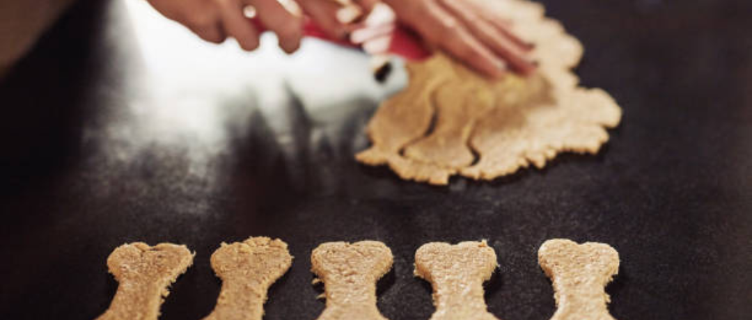 The Science of Baking: Why Certain Ingredients are Dog-Friendly