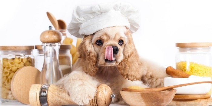 Nutritional Balancing Act: Creating a Homemade Dog Treat Recipe