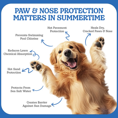 All-Natural Pet Paw Balm for Dogs – Paw Wax Soother with Mango Butter, Coconut Oil & Beeswax – 2.1 oz