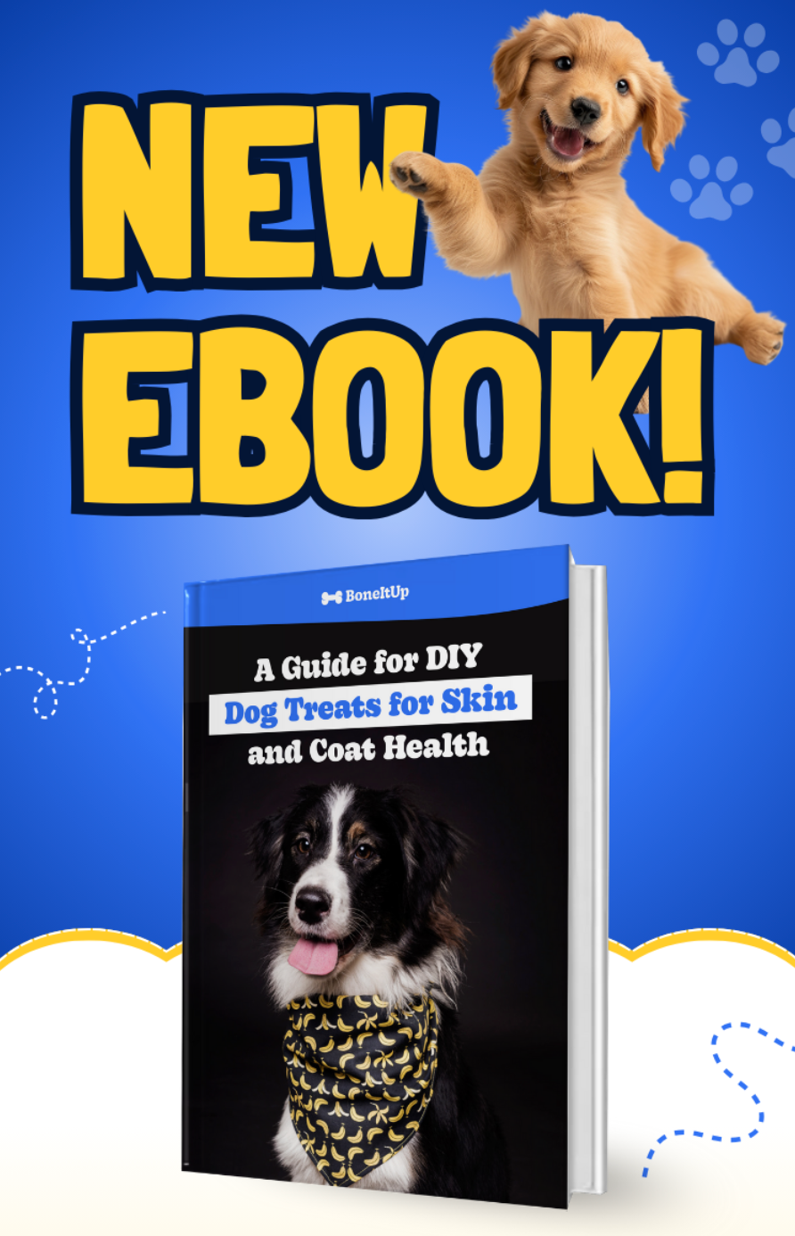 Exclusive Bites App (+Email)