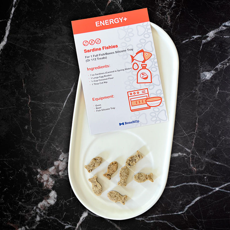BoneItUp® Cat Edition Homemade Treats Kit